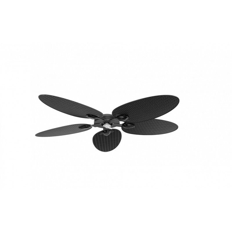 copy of 