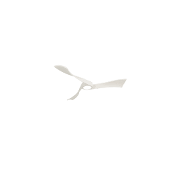 copy of Aspas P6 Rw 132