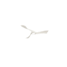 copy of Aspas P6 Rw 132