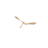 copy of Aspas P6 Rw 166