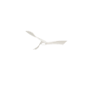 copy of Aspas P6 Rw 166